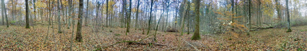 Panorama 765 resized.jpg