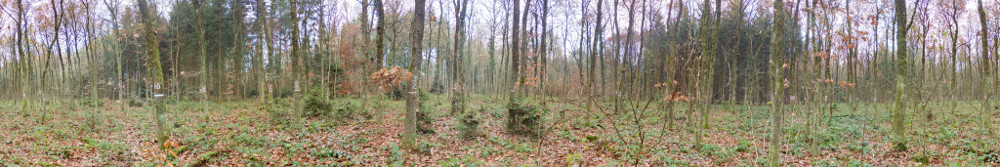 Panorama 795 resized.jpg