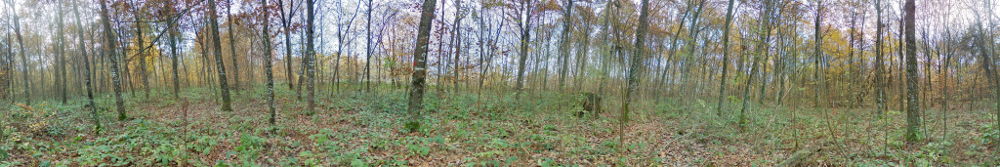Panorama 768 resized.jpg