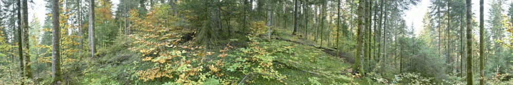 Panorama 692 resized.jpg
