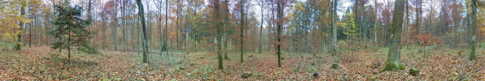 Panorama 749 resized.jpg