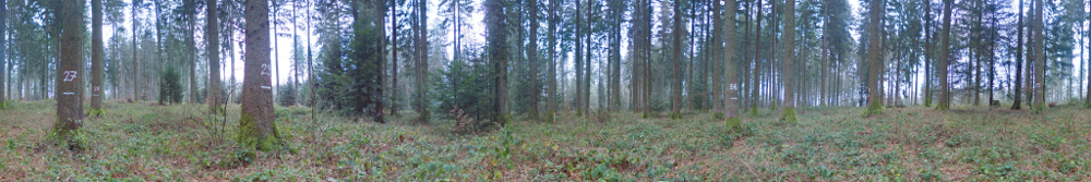 Panorama 879 resized.jpg