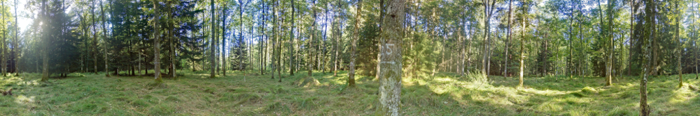 Panorama 660 resized.jpg