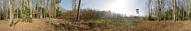 Datei:Panorama nr1871 cropped.jpg