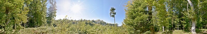 Datei:Panorama nr2123 cropped.jpg