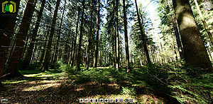 Scrennshot panotour 22to25.jpg