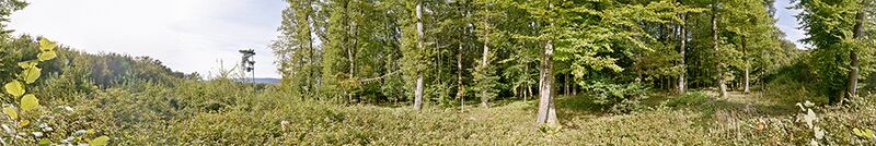 Datei:Panorama nr2132 cropped.jpg