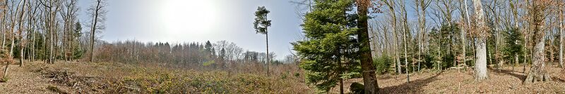 Datei:Panorama nr1850 cropped.jpg