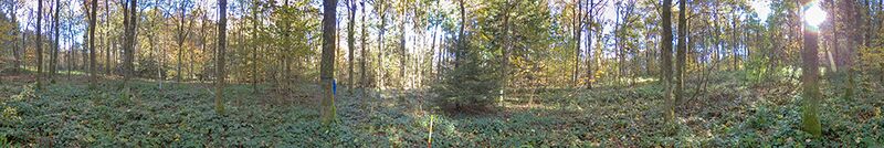 Datei:Panorama nr2182 cropped.jpg