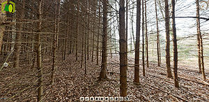 Scrennshot panotour 09to11.jpg