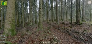 Scrot 42to44.JPG